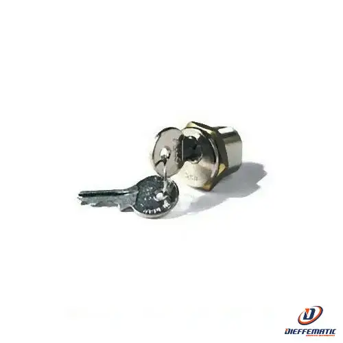 Cilindro Serratura Con Chiave Din Per Automazioni Bk Came R001