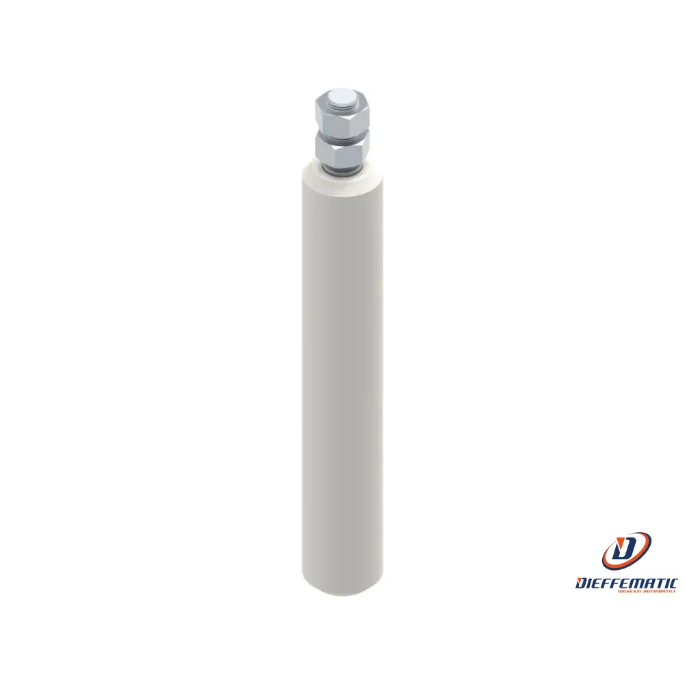 Oliva D.40X250 Con 2 Dadi Medi Fac 118.4 Va3106.D40 Automazione Automatismi