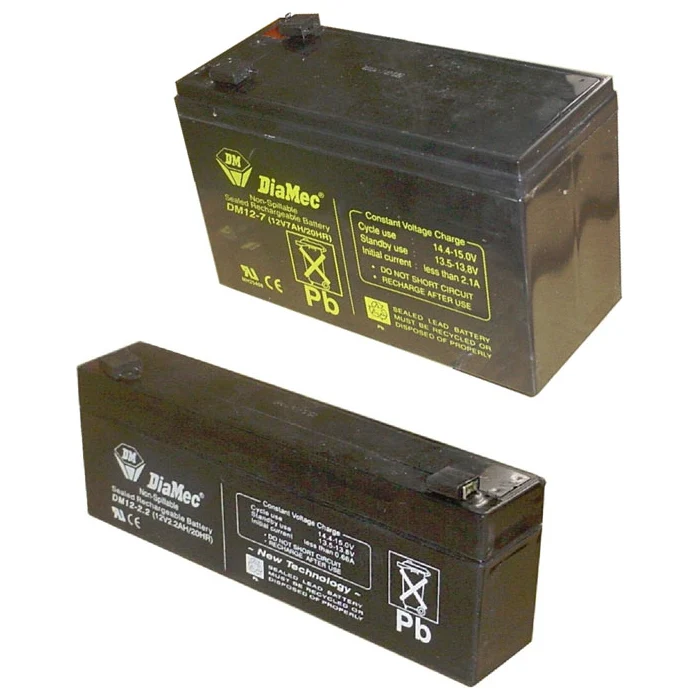 Pacco Batterie 24V/15A (2X12V) Cofem Bt-2415 Antincendio Sicurezza