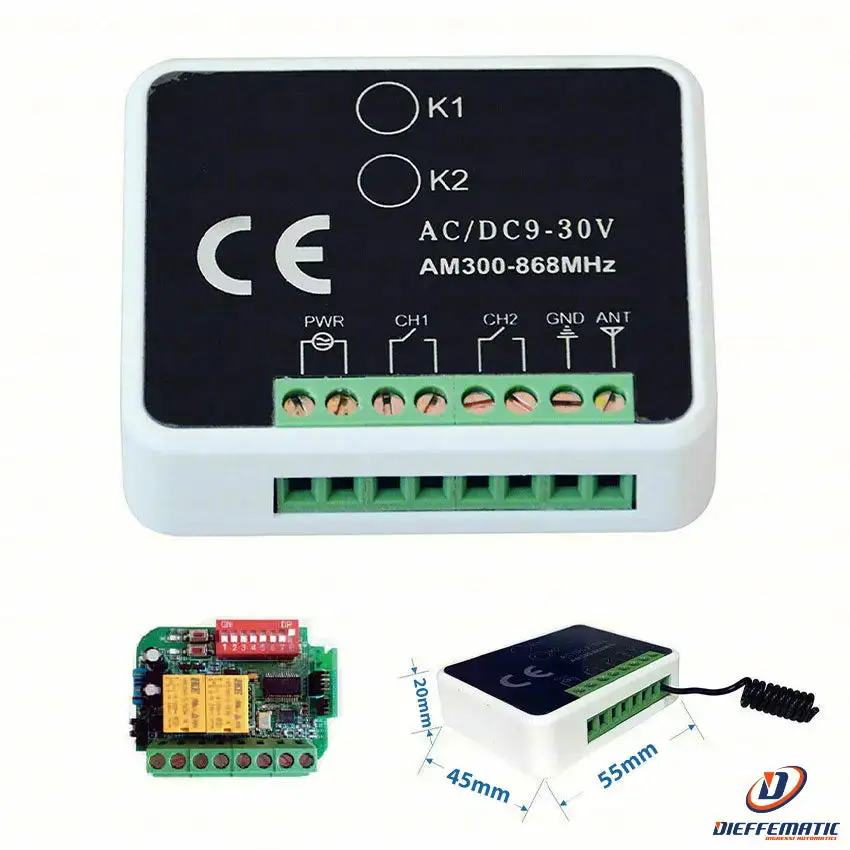 Ricevente Multifrequenza Scheda Radio 300 Mhz 2 Canali Bicanale 12V 24V